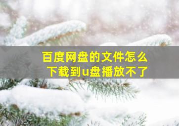 百度网盘的文件怎么下载到u盘播放不了