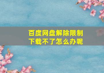 百度网盘解除限制下载不了怎么办呢