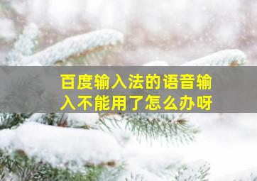 百度输入法的语音输入不能用了怎么办呀