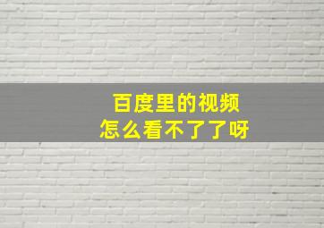 百度里的视频怎么看不了了呀