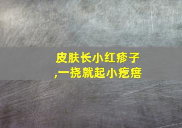 皮肤长小红疹子,一挠就起小疙瘩