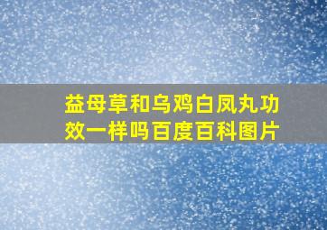 益母草和乌鸡白凤丸功效一样吗百度百科图片