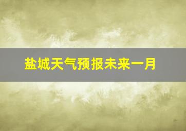 盐城天气预报未来一月