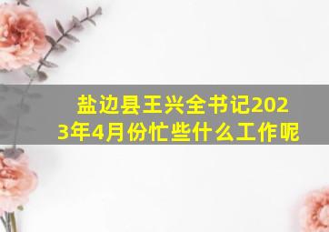 盐边县王兴全书记2023年4月份忙些什么工作呢