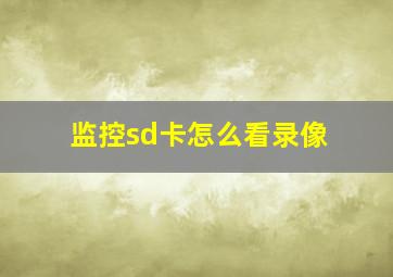 监控sd卡怎么看录像