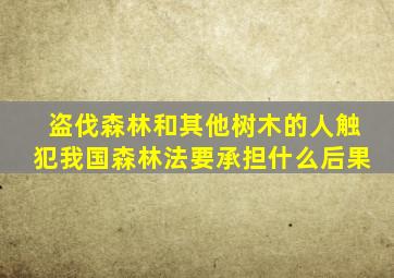 盗伐森林和其他树木的人触犯我国森林法要承担什么后果