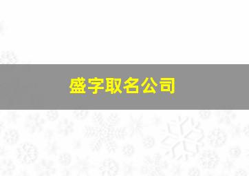 盛字取名公司