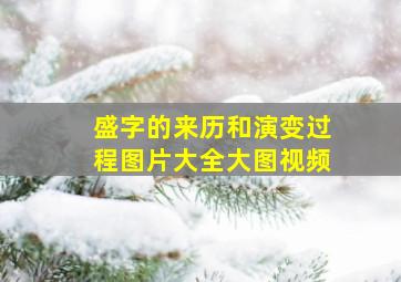 盛字的来历和演变过程图片大全大图视频