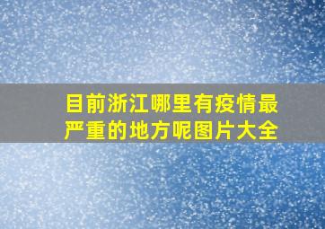 目前浙江哪里有疫情最严重的地方呢图片大全