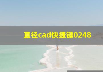 直径cad快捷键0248