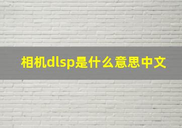 相机dlsp是什么意思中文