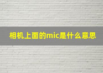 相机上面的mic是什么意思