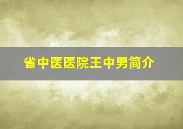 省中医医院王中男简介