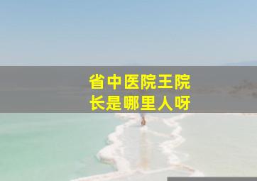 省中医院王院长是哪里人呀