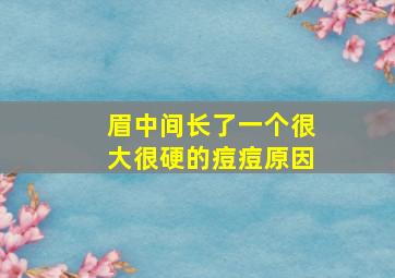 眉中间长了一个很大很硬的痘痘原因