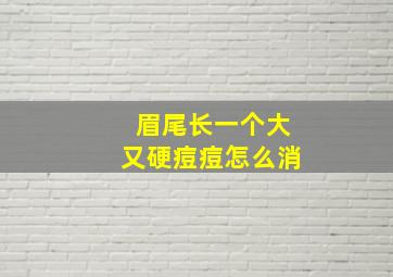 眉尾长一个大又硬痘痘怎么消