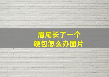 眉尾长了一个硬包怎么办图片