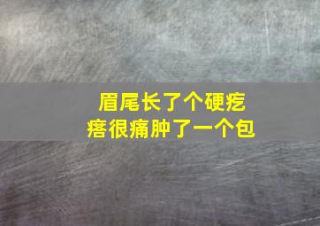 眉尾长了个硬疙瘩很痛肿了一个包