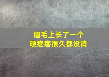 眉毛上长了一个硬疙瘩很久都没消