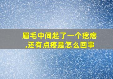 眉毛中间起了一个疙瘩,还有点疼是怎么回事