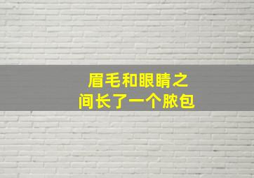 眉毛和眼睛之间长了一个脓包