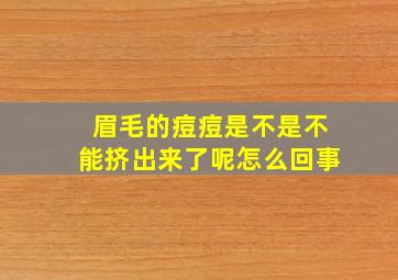 眉毛的痘痘是不是不能挤出来了呢怎么回事