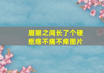 眉眼之间长了个硬疙瘩不痛不痒图片