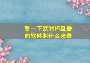 看一下欧洲杯直播的软件叫什么来着