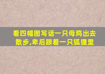 看四幅图写话一只母鸡出去散步,卑后跟着一只狐狸里