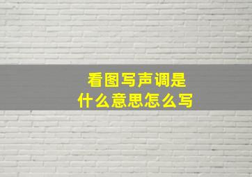 看图写声调是什么意思怎么写