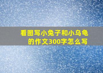 看图写小兔子和小乌龟的作文300字怎么写