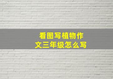 看图写植物作文三年级怎么写