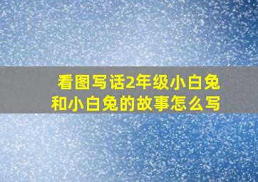 看图写话2年级小白兔和小白兔的故事怎么写