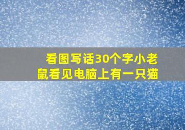 看图写话30个字小老鼠看见电脑上有一只猫