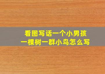 看图写话一个小男孩一棵树一群小鸟怎么写