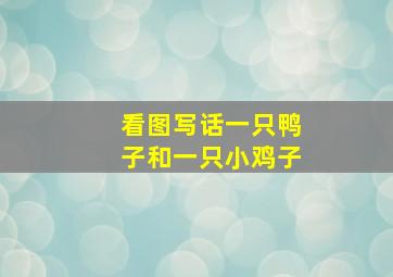 看图写话一只鸭子和一只小鸡子