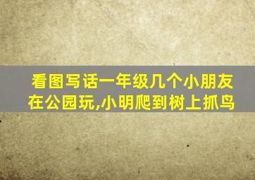 看图写话一年级几个小朋友在公园玩,小明爬到树上抓鸟