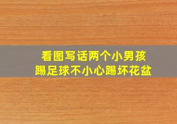 看图写话两个小男孩踢足球不小心踢坏花盆