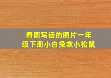 看图写话的图片一年级下册小白兔救小松鼠