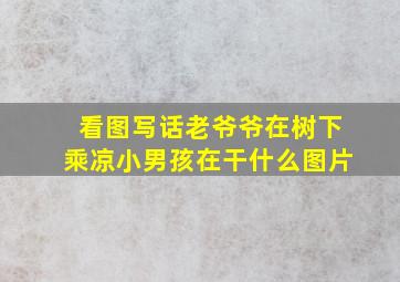 看图写话老爷爷在树下乘凉小男孩在干什么图片