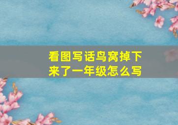 看图写话鸟窝掉下来了一年级怎么写