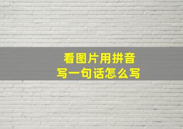 看图片用拼音写一句话怎么写