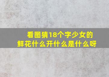 看图猜18个字少女的鲜花什么开什么是什么呀