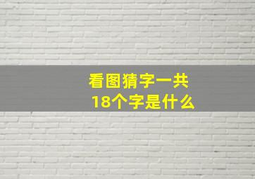 看图猜字一共18个字是什么