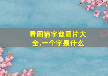 看图猜字谜图片大全,一个字是什么