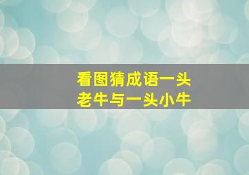 看图猜成语一头老牛与一头小牛