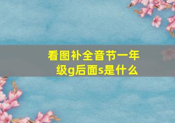 看图补全音节一年级g后面s是什么