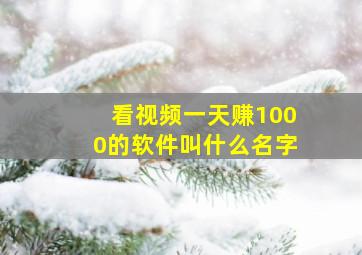 看视频一天赚1000的软件叫什么名字