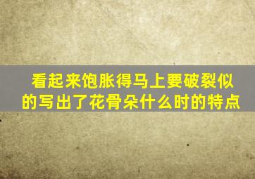 看起来饱胀得马上要破裂似的写出了花骨朵什么时的特点