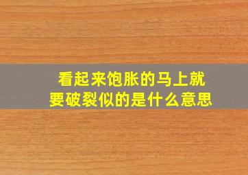 看起来饱胀的马上就要破裂似的是什么意思